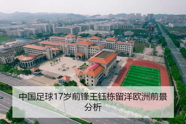 中国足球17岁前锋王钰栋留洋欧洲前景分析